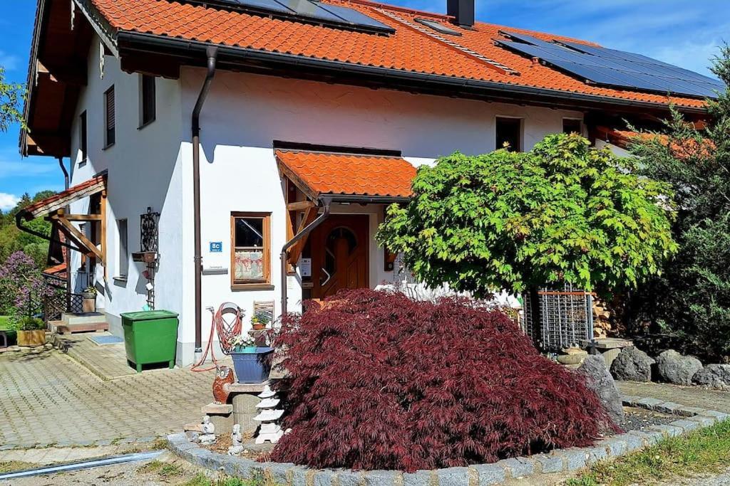 Nussbaum Bayerisches Voralpenland * Lorenzenberg
